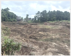  2024Ÿ9930     1733-1      (1)