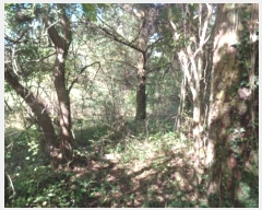  2024Ÿ10299  ֽ ֿ ϸ 25-3      (Ӿ)