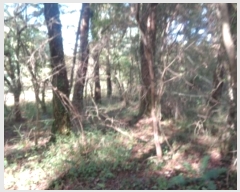  2024Ÿ10299  ֽ ֿ ϸ 25-3      (Ӿ)