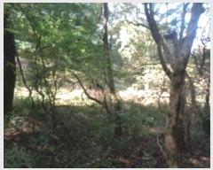  2024Ÿ10299  ֽ ֿ ϸ 25-3      (Ӿ)