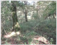  2024Ÿ10299  ֽ ֿ ϸ 25-3      (Ӿ)