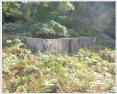  2024Ÿ10299  ֽ ֿ ϸ 25-3      (Ӿ)