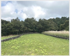  2024Ÿ��11117 ���� ���ֽ� ������3�� 26, 105�� 3��304ȣ (���Ե�,�������Ʈ)    ����Ʈ���