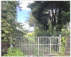  2024Ÿ��11117 ���� ���ֽ� ������3�� 26, 105�� 3��304ȣ (���Ե�,�������Ʈ)    ����Ʈ���