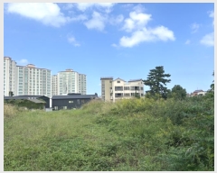  2024Ÿ��11117 ���� ���ֽ� ������3�� 26, 105�� 3��304ȣ (���Ե�,�������Ʈ)    ����Ʈ���