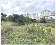  2024Ÿ��11117 ���� ���ֽ� ������3�� 26, 105�� 3��304ȣ (���Ե�,�������Ʈ)    ����Ʈ���