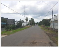  2024Ÿ11384  ֽ Ѱ 긮 1450      ð