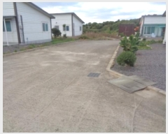  2024Ÿ11384  ֽ Ѱ 긮 1450      ð