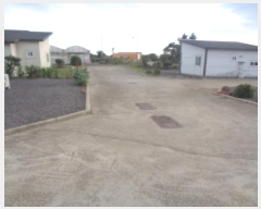  2024Ÿ11384  ֽ Ѱ 긮 1450      ð