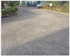  2024Ÿ11384  ֽ Ѱ 긮 1450      ð