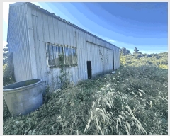  2024Ÿ11735   ǥ ǥ 2275-3      ,â