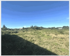  2024Ÿ11735   ǥ ǥ 2275-3      ,â