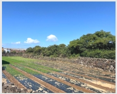  2024Ÿ��11834 ���� ���ֽ� �Ѱ�� �θ� 1883-10      ����(�Ӿ�)���