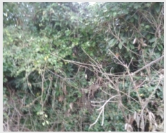  2024Ÿ��11834 ���� ���ֽ� �Ѱ�� �θ� 1883-10      ����(�Ӿ�)���