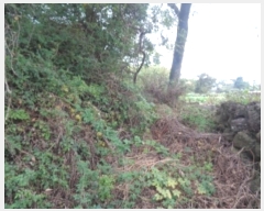  2024Ÿ��11834 ���� ���ֽ� �Ѱ�� �θ� 1883-10      ����(�Ӿ�)���