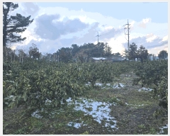  2024Ÿ12288  ֽ õ ̸ 357      ()