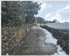  2024Ÿ12288  ֽ õ ̸ 357      ()