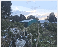  2024Ÿ12288  ֽ õ ̸ 357      ()