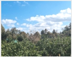  2024Ÿ12288  ֽ õ ̸ 357      ()