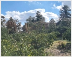  2024Ÿ12288  ֽ õ ̸ 357      ()