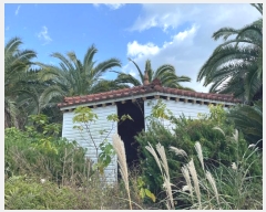  2024Ÿ��13007 ���� �������� ������ ���︮ 1082      ���(ķ����)���