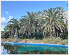  2024Ÿ��13007 ���� �������� ������ ���︮ 1082      ���(ķ����)���