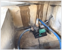  2024Ÿ��13533  �������