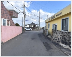  2024Ÿ��13533  �������