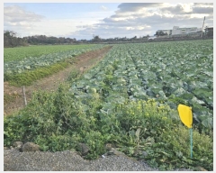  2024Ÿ13960     2712-1      ()