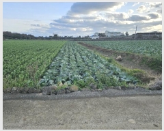  2024Ÿ13960     2712-1      ()