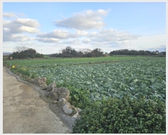  2024Ÿ13960     2712-1      ()