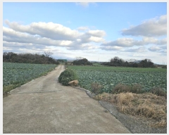  2024Ÿ13960     2712-1      ()