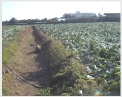  2024Ÿ13960     2712-1      ()