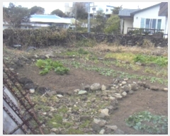  2024Ÿ��14147 ���� �������� ��ȯ�� 267-1       ����(����)���