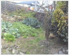  2024Ÿ��14147 ���� �������� ��ȯ�� 267-1       ����(����)���