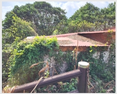  2024Ÿ20982   ͵ 179-3       (Ӿ)