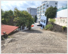  2024Ÿ20982   ͵ 179-3       (Ӿ)