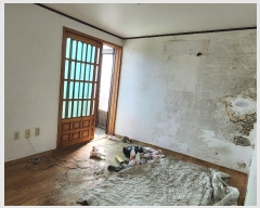  2024Ÿ20982   ͵ 411-8       ð