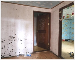  2024Ÿ20982   ͵ 411-8       ð