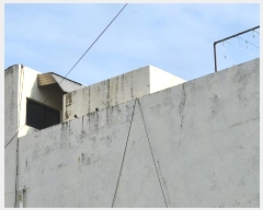  2024Ÿ20982   ͵ 411-8       ð