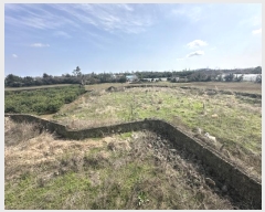  2024Ÿ22506  ֽ Ѱ û 2229      ð