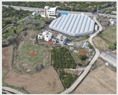  2024Ÿ22506  ֽ Ѱ û 2229      ð