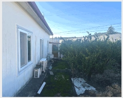  2024Ÿ��28993 ���� �������� ���޵� 1977-4       �ٰ������ð��