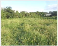  2024Ÿ��30606 ���� ���ֽ� ��õ�� ���ͷ� 23, 501ȣ (���ƽ���2��)    ���ǽ��ڰ��