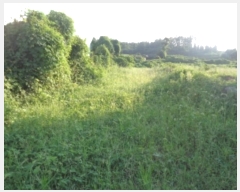  2024Ÿ��30606 ���� ���ֽ� ��õ�� ���ͷ� 23, 501ȣ (���ƽ���2��)    ���ǽ��ڰ��