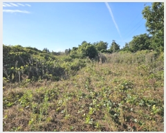  2024Ÿ34509   ȴ  234-1      (1)