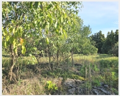  2024Ÿ34509   ȴ  234-1      (1)