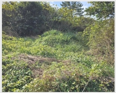  2024Ÿ34509   ȴ  234-1      (1)