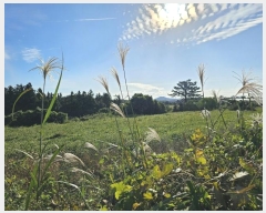  2024Ÿ34509   ȴ  234-1      (1)