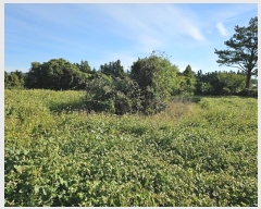  2024Ÿ34509   ȴ  234-1      (1)